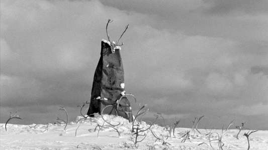 The White Reindeer - Backdrops