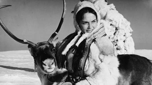 The White Reindeer - Backdrops