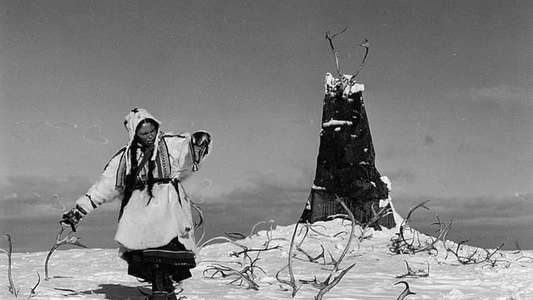 The White Reindeer - Backdrops