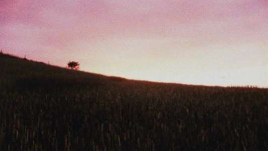 Horizons - Backdrops