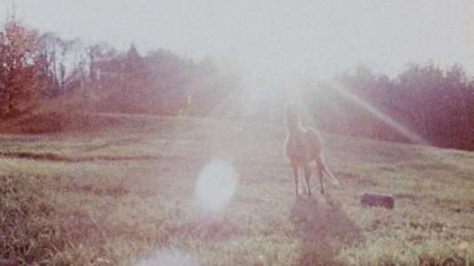 Horizons - Backdrops