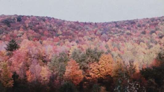 Horizons - Backdrops