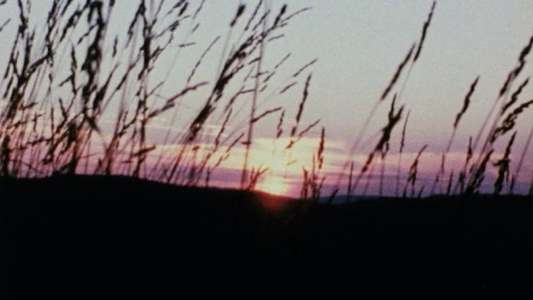 Horizons - Backdrops