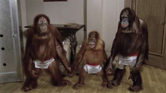 Going Ape! - Backdrops