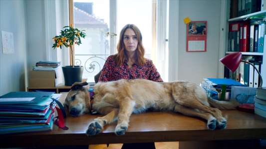 Dog on Trial - Backdrops