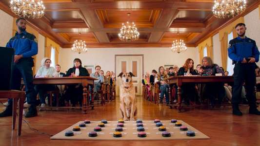Dog on Trial - Backdrops