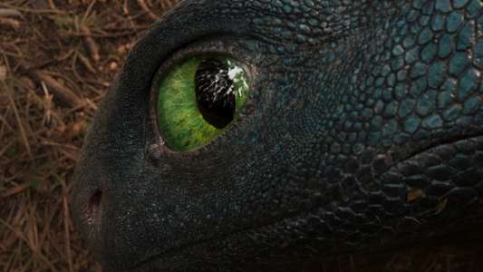 How to Train Your Dragon - Backdrops