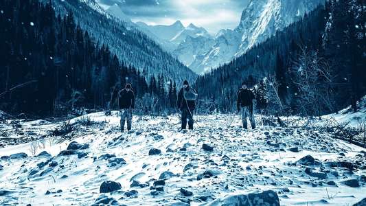 Whiteout - Backdrops