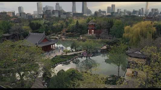 Karate Kid: Legends - Backdrops