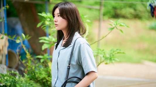 My Liberation Notes - Backdrops