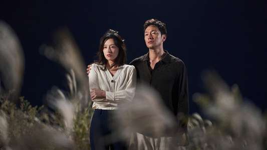 My Liberation Notes - Backdrops