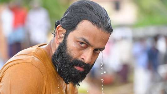 Ayyappanum Koshiyum - Backdrops