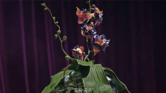 Little Women - Backdrops