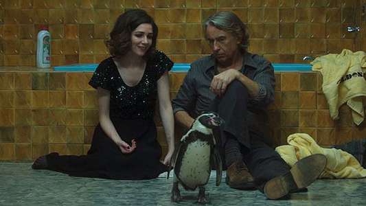 The Penguin Lessons - Backdrops