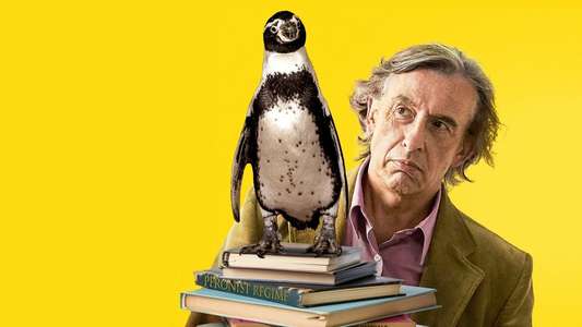 The Penguin Lessons - Backdrops