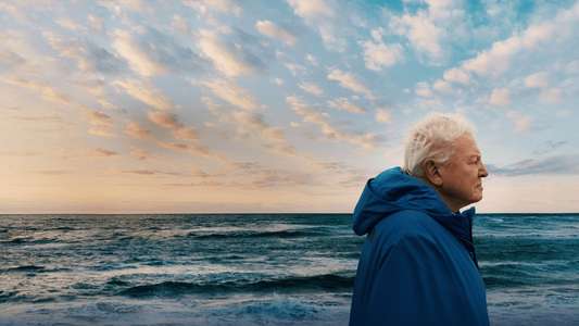 Ocean with David Attenborough - Backdrops
