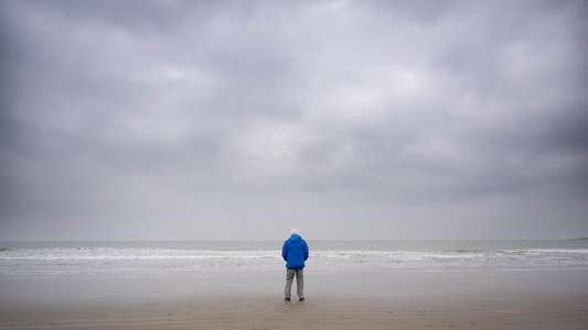 Ocean with David Attenborough - Backdrops
