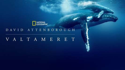 Ocean with David Attenborough - Backdrops