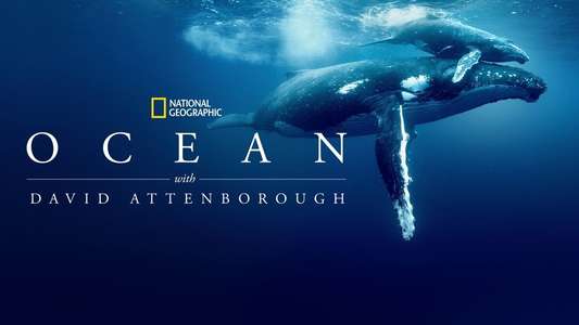Ocean with David Attenborough - Backdrops