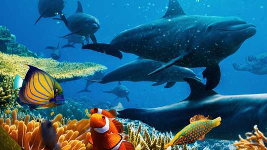 Ocean with David Attenborough - Backdrops
