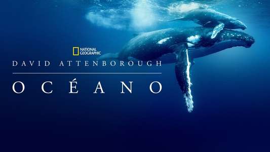 Ocean with David Attenborough - Backdrops