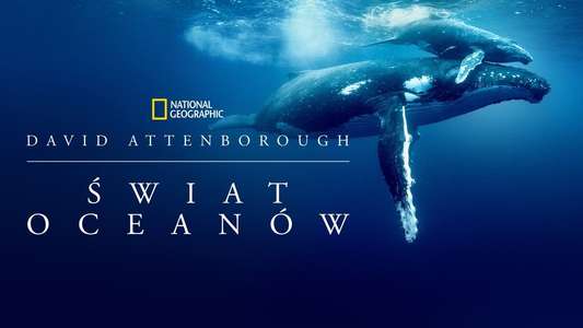 Ocean with David Attenborough - Backdrops