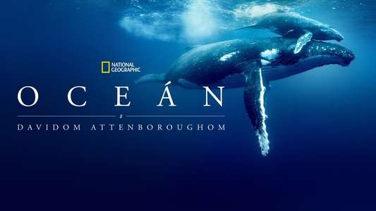 Ocean with David Attenborough - Backdrops