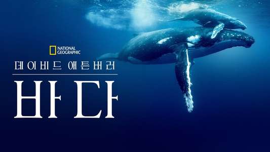Ocean with David Attenborough - Backdrops