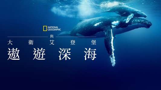 Ocean with David Attenborough - Backdrops