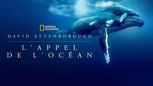 Ocean with David Attenborough - Backdrops