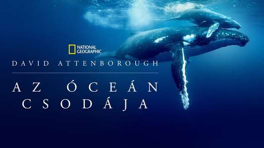 Ocean with David Attenborough - Backdrops