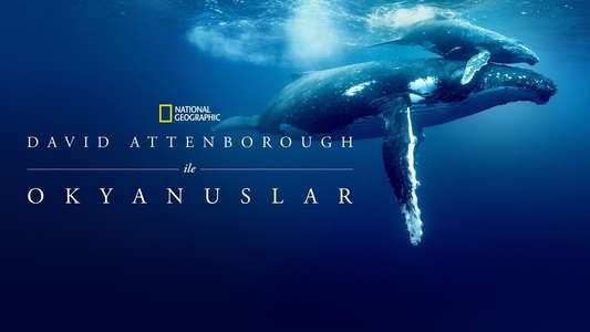 Ocean with David Attenborough - Backdrops