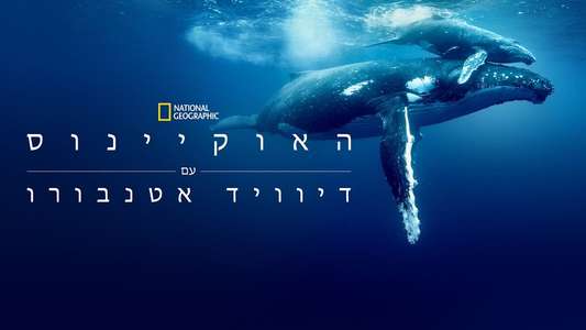 Ocean with David Attenborough - Backdrops