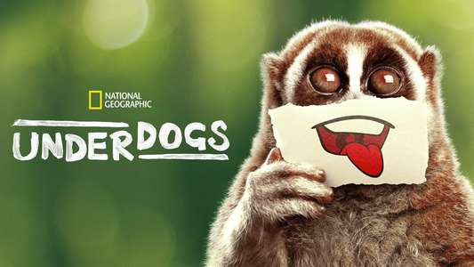 Underdogs - Backdrops
