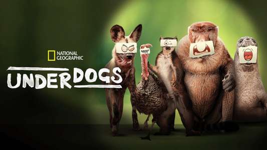 Underdogs - Backdrops
