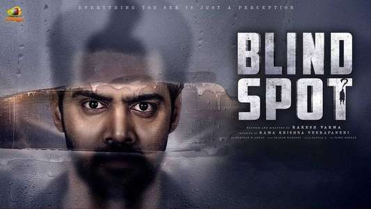 Blind Spot - Backdrops