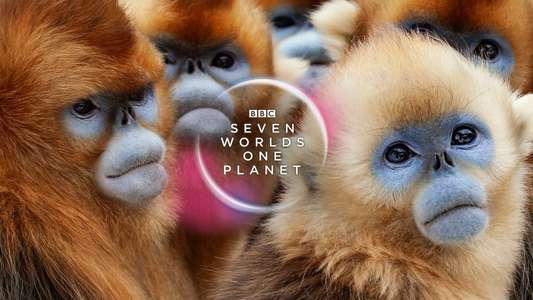 Seven Worlds One Planet - Backdrops