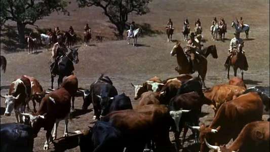 The Raiders - Backdrops