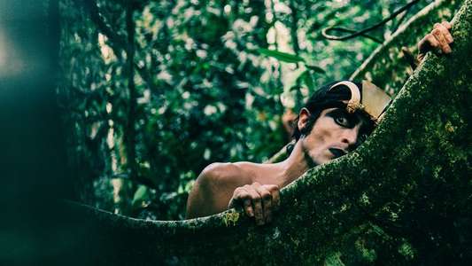 Latin Blood – The Ballad of Ney Matogrosso - Backdrops