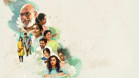 Meet Cute - Backdrops