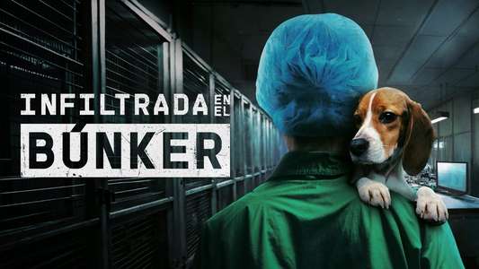Undercover. Inside the bunker - Backdrops