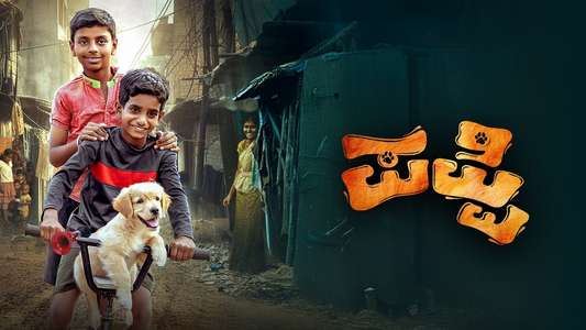 Puppy - Backdrops