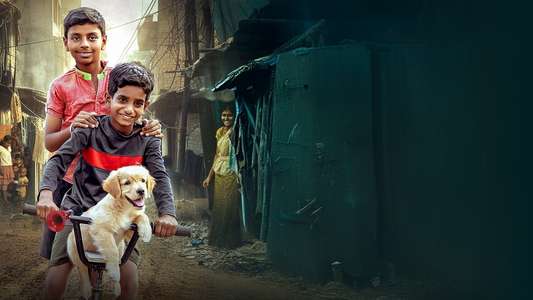 Puppy - Backdrops