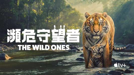 The Wild Ones - Backdrops