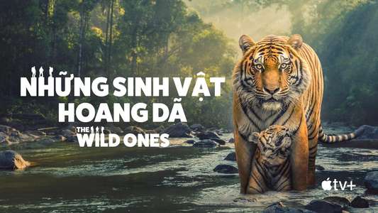 The Wild Ones - Backdrops