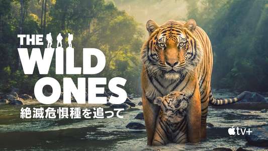 The Wild Ones - Backdrops