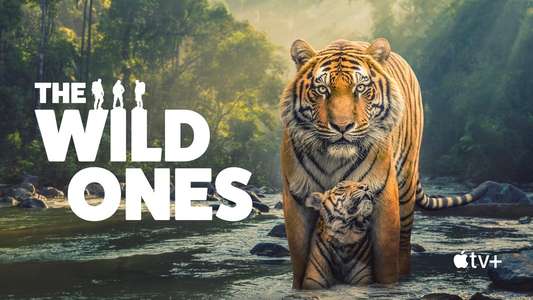 The Wild Ones - Backdrops