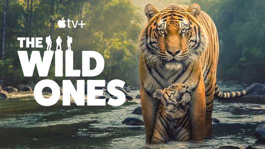 The Wild Ones - Backdrops