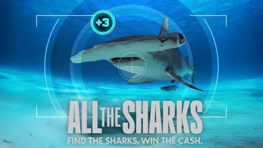 All the Sharks - Backdrops