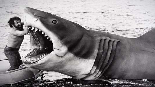 Jaws @ 50: The Definitive Inside Story - Backdrops